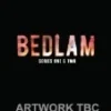 Bedlam - Series 1 & 2 Box Set DVD - Theo James, Will Young