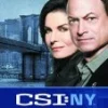 CSI: NY - Complete Season 9: The Final Season DVD - Hill Harper , Anna Belknap