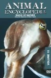 Animal Encyclopedia: Volume 10 - Deep Sea Magicians DVD -  