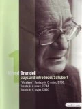 Alfred Brendel Plays and Introduces Schubert's late piano works - Wanderer Fantasy; Sonatas D784 & D840 DVD - Alfred Brendel 