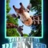 The Third Planet: Periscopes Of The Savannah (Giraffes) DVD -  