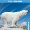 Animal Encyclopedia Vol.4:Cool Creatures DVD -  