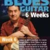 Steve Trovato's American Blues in 6 Weeks: Week 6 Albert King Style DVD -  