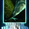 The Third Planet: The Sturgeon Treasure (In The Caspian Sea) DVD -  