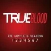 True Blood - Season 1-7 DVD - Anna Paquin , Alexander Skarsgaard