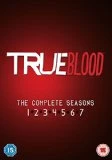 True Blood - Season 1-7 DVD - Anna Paquin , Alexander Skarsgaard