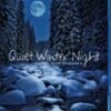 Quiet Winter Night - An Acoustic Jazz Project DVD -  