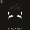 Blackfish - Limited Edition Steelbook DVD -  