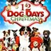 12 Dog Days Till Christmas DVD - Vincent Giovagnoli, Grainne McDermott 