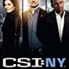 CSI: New York Season 7-9 DVD - Gary Sinise 