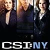 CSI: New York Season 4-6 Boxset DVD - Gary Sinise 