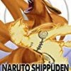Naruto - Shippuden: Complete Series 6 DVD - Junko Takeuchi, Chie Nakamura