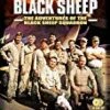 Baa Baa Black Sheep - The Complete Series DVD - Dana Elcar , Simon Oakland