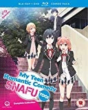 My Teen Romantic Comedy SNAFU Too! (Episodes 1-13) Blu-ray/DVD Combo Blu Ray - Saori Hayami, Nao T yama