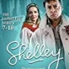 Shelley: The Complete Series 7 to 10 DVD - Stephen Hoye, Hywel Bennett