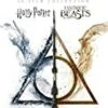 Wizarding World 10 Film Collection DVD - Various 