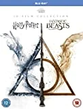Wizarding World 10 Film Collection Blu Ray - Various 