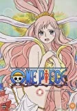 One Piece (Uncut): Collection 22 (Episodes 517-540) DVD -  