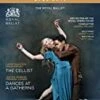 The Cellist; Dances at a Gathering Blu Ray -  