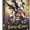 Black Clover: Complete Season 2 DVD -  