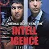 Intelligence - Season 1 DVD - Nick Mohammed , David Schwimmer