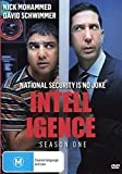 Intelligence - Season 1 DVD - Nick Mohammed , David Schwimmer