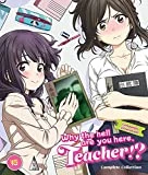 Why The Hell Are You Here, Teacher!? Collection BLU-RAY Blu Ray -  