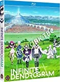 Infinite Dendrogram Complete Series Blu-ray + Digital Copy Blu Ray -  