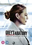 Grey's Anatomy Season 17 DVD DVD - Kevin McKidd, Camilla Luddington
