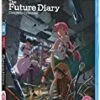 The Future Diary (Standard Edition) Blu Ray -  