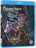 The Future Diary (Standard Edition) Blu Ray -  